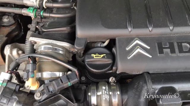 Citroën C5 engine whistles 1.6 HDI FAP смотреть онлайн