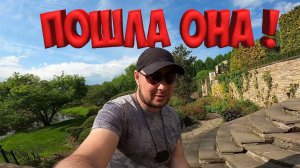 БРОСИЛ ВСЁ И УЕХАЛ !
