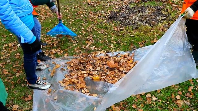 Как в Витебске убирают опавшую листву? Корреспондент vitbichi.by один день поработала дворником смотреть онлайн