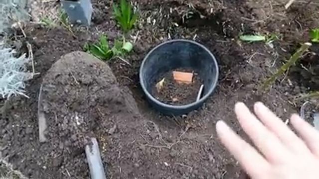 Ураганный ветер в Провансе/Даже и не знаю что мне делать с этим садом/ Паровые котлеты из индейки смотреть онлайн