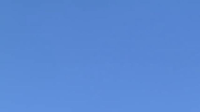 Голуби взяли вкус неба. смотреть онлайн