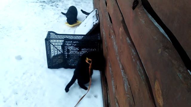 Я очень рад! Я счастлив! смотреть онлайн