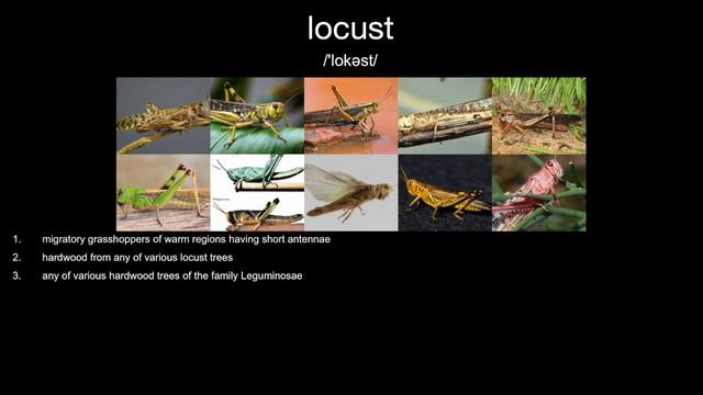 【英语基础词汇】必须学会的日常词汇(1~486) смотреть онлайн