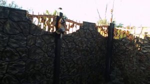 Покраска бетонного забора