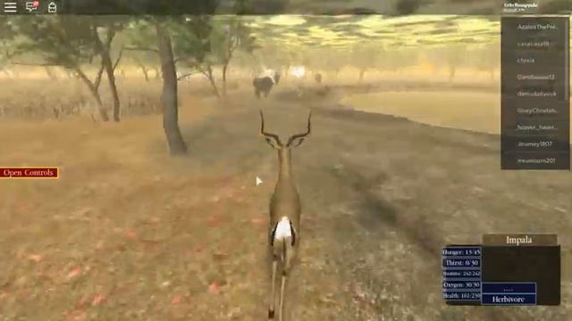 Scrumpy plays ROBLOX: WILD SAVANNA (Impala part 1) смотреть онлайн