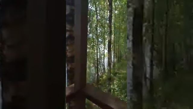 КАРЕЛИЯ/БАЗА_КЕМПИНГ_САНДАЛ/В_НОМЕРЕ смотреть онлайн