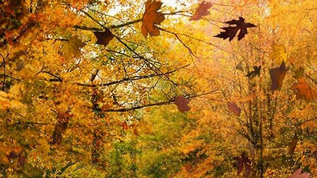 Sequence 01 земное смотреть онлайн