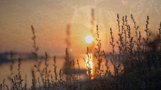 My Spirit Guide Helped Me Decide To Return From My Near Death Experience | NDE смотреть онлайн