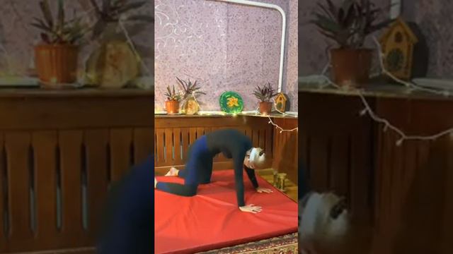 Здоровая и гибкая спина.Делать всем!день 19 смотреть онлайн