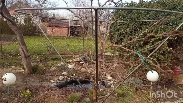 Розы на штамбе - формировка?;Опоры для штамбов своими руками;Чудо печь для производства золы? смотреть онлайн