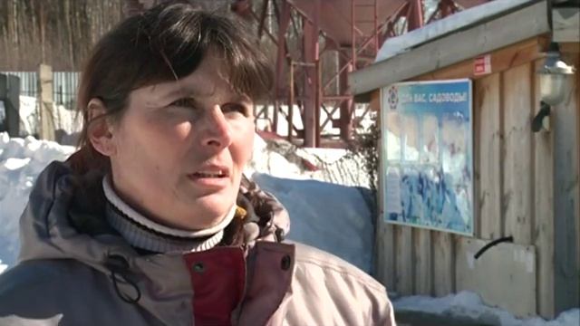 16 03 2016 В Ижевске задержана группа молодых людей, совершавших кражи на садовых массивах смотреть онлайн