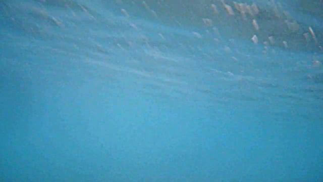 Подводная фотоохота.Гриша делает подводную съемку в Красном море.Эйлат смотреть онлайн