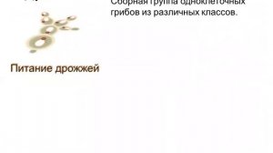 Биология. Урок №7 Царство Грибы. Плесневые грибы: мукор, пеницилл. Одноклеточные грибы – дрожжи.