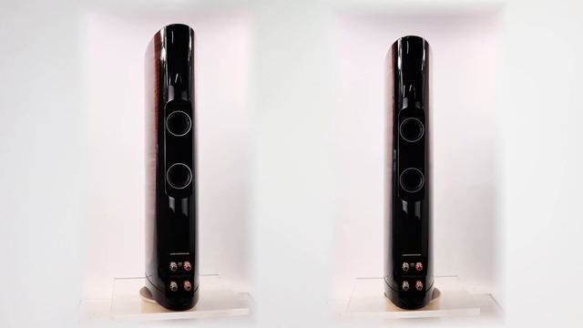 Dali Epicon 6 - Walnut смотреть онлайн