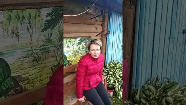 Мусичи. Сланец бурый смотреть онлайн
