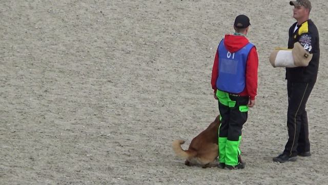 2022 IGP CACT Russia 1 Skopinova Anna And Vyatkins Robbie (Malinois) C96