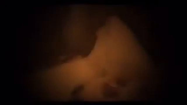 Всевышний Аллах говорит ! смотреть онлайн
