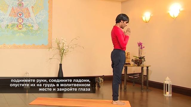 Йога для начинающих. Держим вес под контролем смотреть онлайн