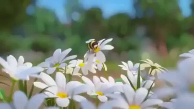 мультики для всей семьи | классные семейные мультики