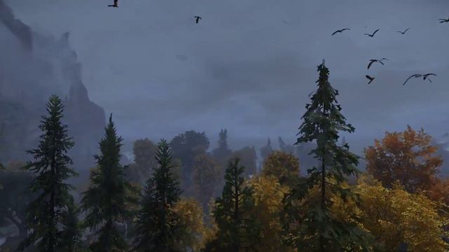 Skyrim 2022 What I think is one of the best mods ever made....DynDOLOD смотреть онлайн