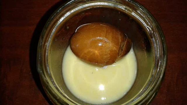 Пейти дети пепси колу будете ЗДОРОВЫ смотреть онлайн