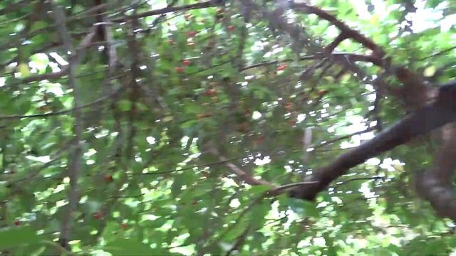 СтройИстории