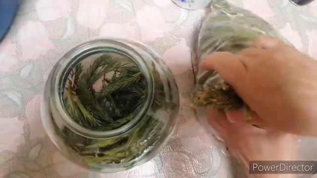 Стимулятор роста HB-101 смотреть онлайн