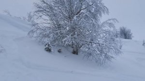 Снегоход Буран.Полный газ-Буран не спас.Вижас НАО