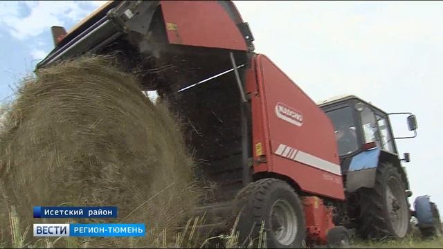 Новая кормозаготовительная техника вышла на поля Исетского района смотреть онлайн
