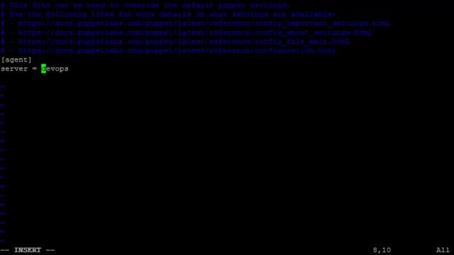 IaC-2. Установка Puppet агентов