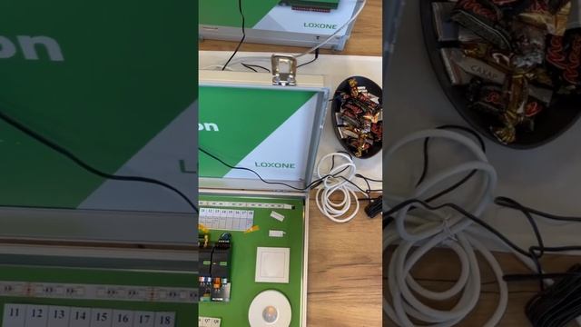 Стрим обучение #loxone #умныйдом #smarthome #knx #электрика #инженер #apple #smart #technology #дом смотреть онлайн
