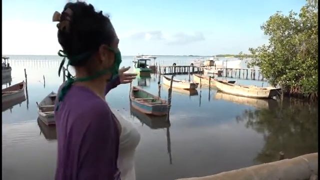 Destacamentos Mirando al Mar de Granma destacan en el trabajo cederista ante ilegalidades смотреть онлайн