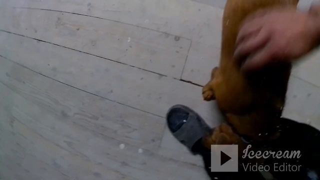 напортачил разбираем пол дома