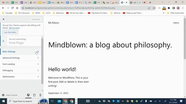Wordpress Fonts Plugin смотреть онлайн