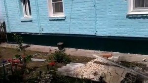 Обшили цоколь старого дома профлистом