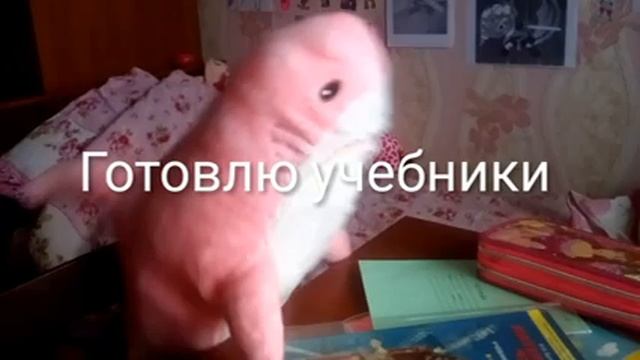 УТРО РОЗОВОЙ АКУЛЫ смотреть онлайн