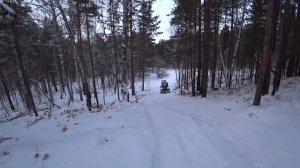 ЗИМНИЕ гусеницы против ЛЕТНИХ -  сравнение двух вездеходов БОРУС.