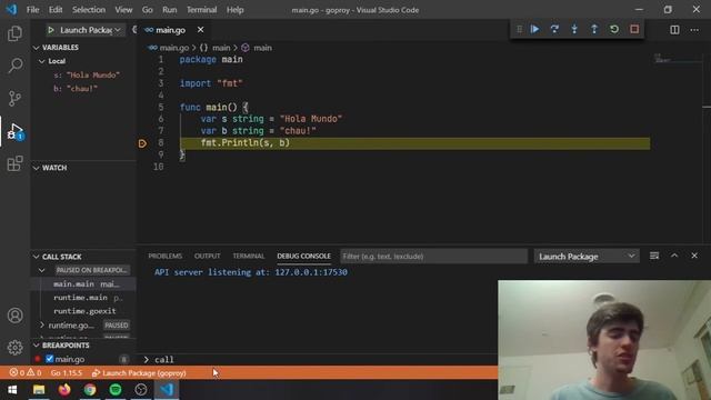 Golang - Instalación y programación en Visual Studio Code смотреть онлайн