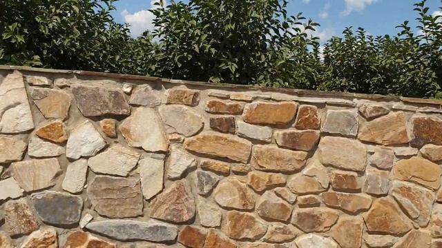 Парк Лога Ростовская область смотреть онлайн