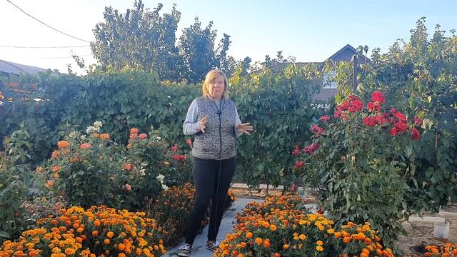 ЭТО ОЧЕНЬ ВАЖНО! РЕАБИЛИТАЦИЯ ПОЧВЫ! ОСЕННЯЯ ПЕРЕКОПКА. ДЛЯ ЧЕГО ОНА НУЖНА. смотреть онлайн