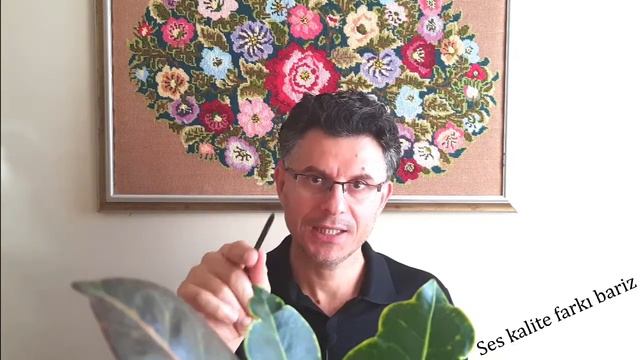 Samsung Galaxy Note 10 Lite ile Boya By-M1 Mikrofon Test смотреть онлайн