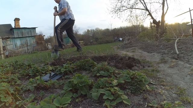 Огород, Распакорвки,Копка, смотреть онлайн