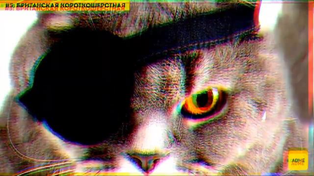 Посмотри в низ там сылка смотреть онлайн