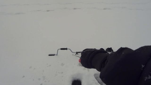 Окунь сошёл с ума от этого балансира! смотреть онлайн