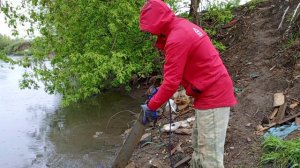 Зубы Крокодила на Поисковый магнит