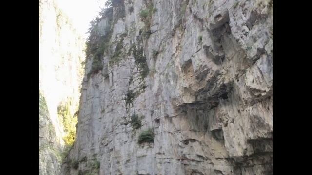 Абхазия❤/Июль 2018/Озеро Рица/Рицинский реликтовый национальный парк/На машине с особенным ребенком