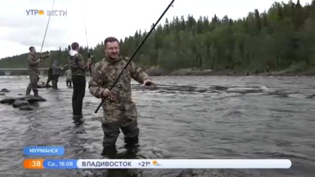 Небывалый ход горбуши на р. Умба смотреть онлайн