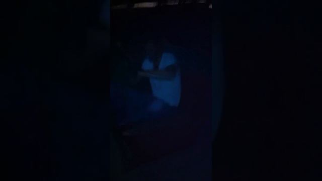 Катание на кресле смотреть онлайн