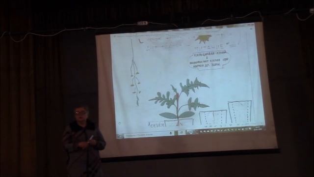 Как бороться с вершинной гнилью у томатов. Марценюк Надежда смотреть онлайн