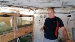 Как организовать вентиляцию в брудерной?